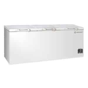 Deep Freezer/chiller 2 in Convertible