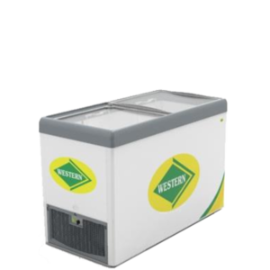 Western Glass top chest freezers (192 Liters)